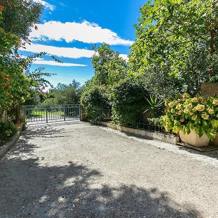 Apartments With A Parking Space Gradac, Makarska - 14708 외부 사진