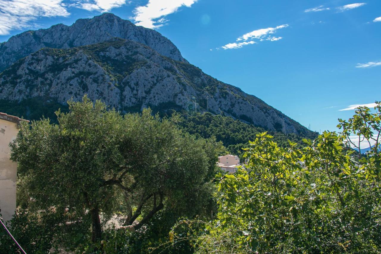 Apartments With A Parking Space Gradac, Makarska - 14708 외부 사진