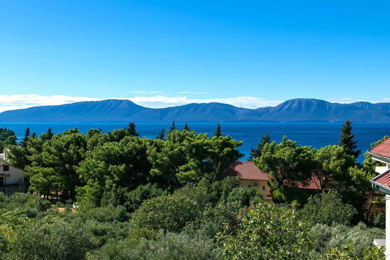 Apartments With A Parking Space Gradac, Makarska - 14708 외부 사진